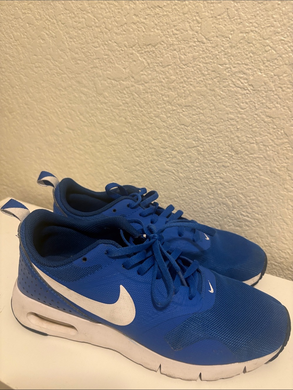 Nike Blue Lightweight Mesh Sneakers with White Swoosh